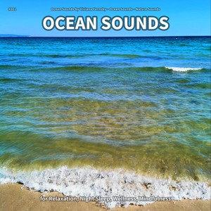 #001 Ocean Sounds for Relaxation, Night Sleep, Wellness, Mindfulness