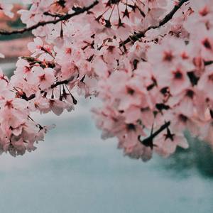 Broke Boy(feat. Kye HD)