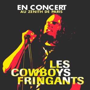 En concert au Zénith de Paris