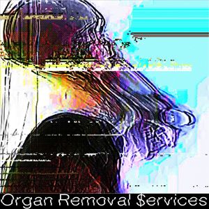 Organ Removal $ervices (Explicit)