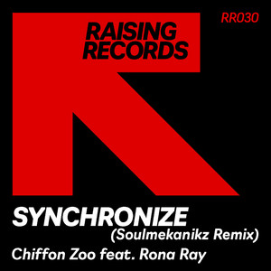 Synchronize (Soulmekanikz Extended Remix)