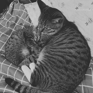 林梓 - 空洞飞行