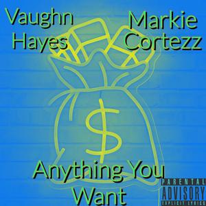 Anything You Want (feat. Vaughn Hayes) [Explicit]