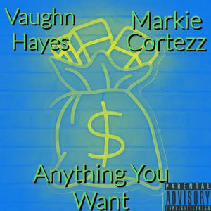 Anything You Want (feat. Vaughn Hayes) (Explicit)