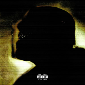 UTTERLY FRIED (Explicit)