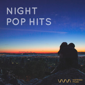 Night Pop Hits