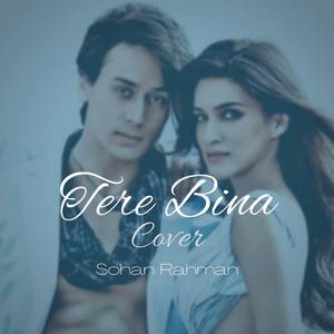 Tere Bina