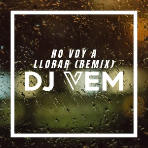 No Voy A Llorar (Remix)