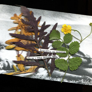 Нас уже не ждут