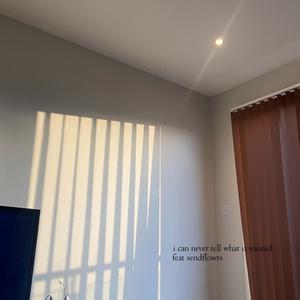 i can never tell what u wanted(feat. sendflowrs) (Explicit)