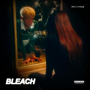 BLEACH (Explicit)