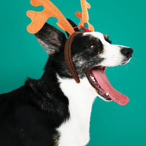 Santas Gonna Love Me