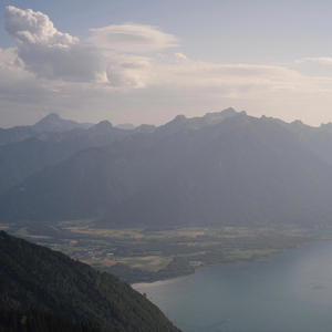 I Feel the Truth Revivin' (in my Soul) (feat. Tina Provenzano)