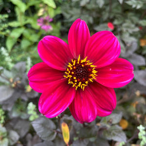 All along the Watchtower