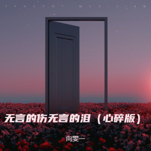 无言的伤和无言的泪 (心碎版)