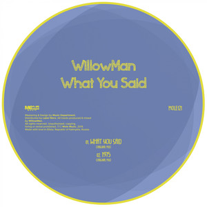 What You Said (Original Mix)