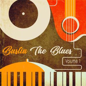 Bustin the Blues, Vol. 1