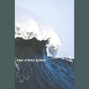 BK532 - PAW Story Remix