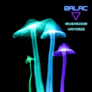 Mushroom Universe