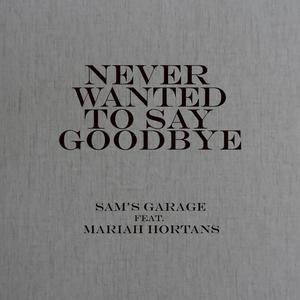 Never Wanted To Say Goodbye(feat. Mariah Hortans)