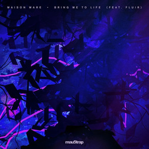 Bring Me To Life (feat. Fluir) (Club Mix)