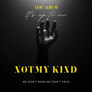 Not My Kind (Explicit)