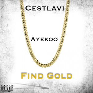 Find Gold (feat. Ayekoo) [Explicit]