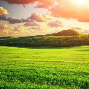 The Sound Of Nature