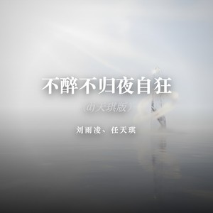 不醉不归夜自狂 (dj天琪版)