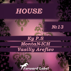 House N.13