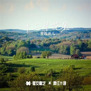 织手巾