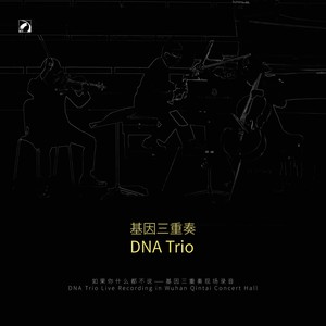 贝多芬：D大调第二交响曲Op.36（钢琴三重奏版）第一乐章：柔板-有活力的快板