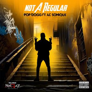 Not A Regular (feat. LC Sonique) [Explicit]