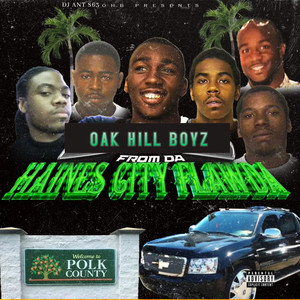 Oak Hill Boyz - Take It To Da Flo (Explicit)
