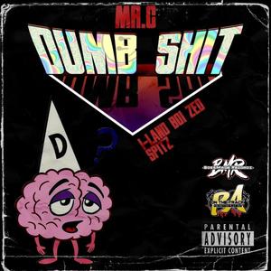 Dumb Shit(feat. I-land Boi Zed & Spitzphire) (Explicit)