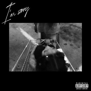 I'M SORRY (Explicit)