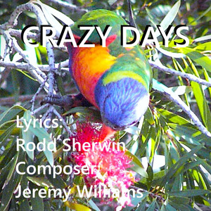 Crazy Days