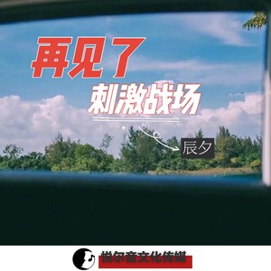 再见了刺激战场