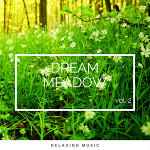 Dreamy Woods Tunes pt. 2 (feat. Waves Radio 1, Nature Sounds Nature Music & Deep Sleep Nature Sounds) (Radio Edit)