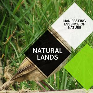 Natural Lands - Manifesting Essence of Nature