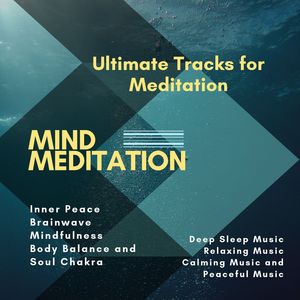 Mind Meditation (Ultimate Tracks For Meditation, Inner Peace, Brainwave, Mindfulness, Body Balance And Soul Chakra) (Deep Sleep Music, Relaxing Music, Calming Music And Peaceful Music)