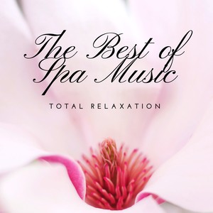 The Best of Spa Music