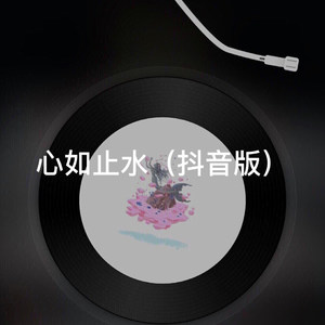 雪落下的声音-阿冰