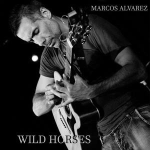 WILD HORSES