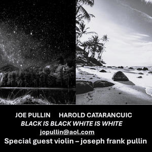 JOE PULLIN HAROLD CAT jopullin@aol.com - BLACK IS BLACK WHITE IS WHITE (feat. JOE FRANK PULLIN & JOE PULLIN)
