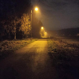 Night walks.