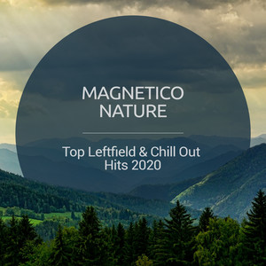 Top Leftfield & Chill Out Hits 2020