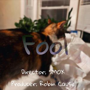 Fool (feat. Robin Cause)