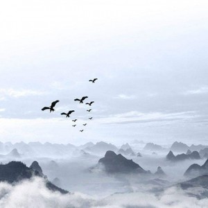 解药 (民谣摇滚)