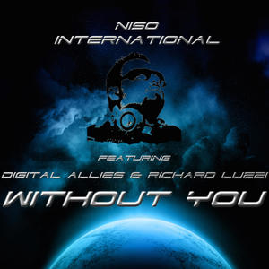 Without You (feat. Digital Allies & Richard Luzzi)